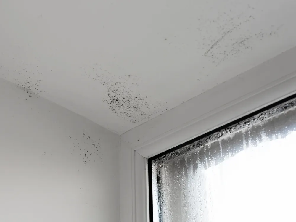 Bausachverständiger Berlin Brandenburg